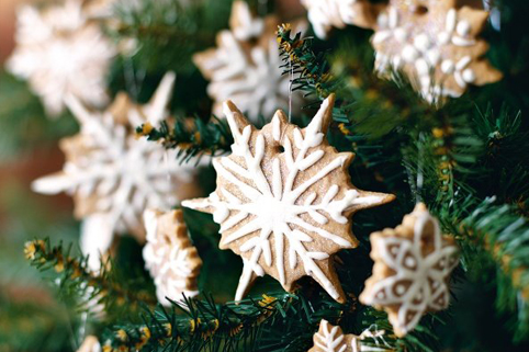 Edible Christmas Tree Decorations