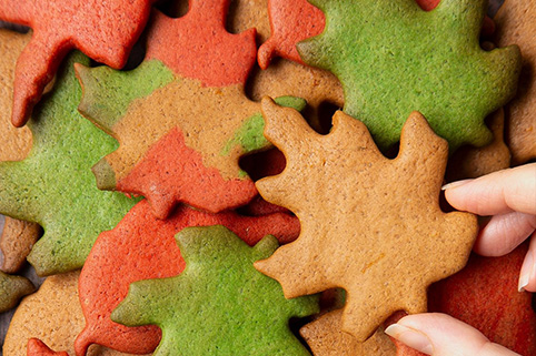 Leaf Autumn Cookies